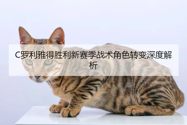 C罗利雅得胜利新赛季战术角色转变深度解析