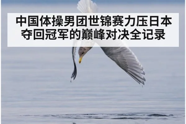 中国体操男团世锦赛力压日本夺回冠军的巅峰对决全记录