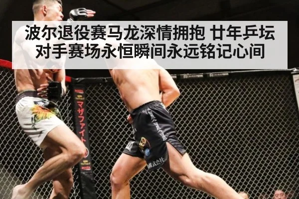 波尔退役赛马龙深情拥抱 廿年乒坛对手赛场永恒瞬间永远铭记心间